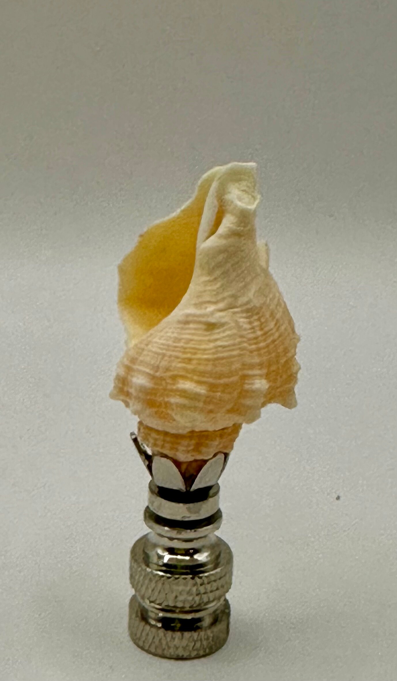 Shells Finials Sea Shell Finial - Etsy