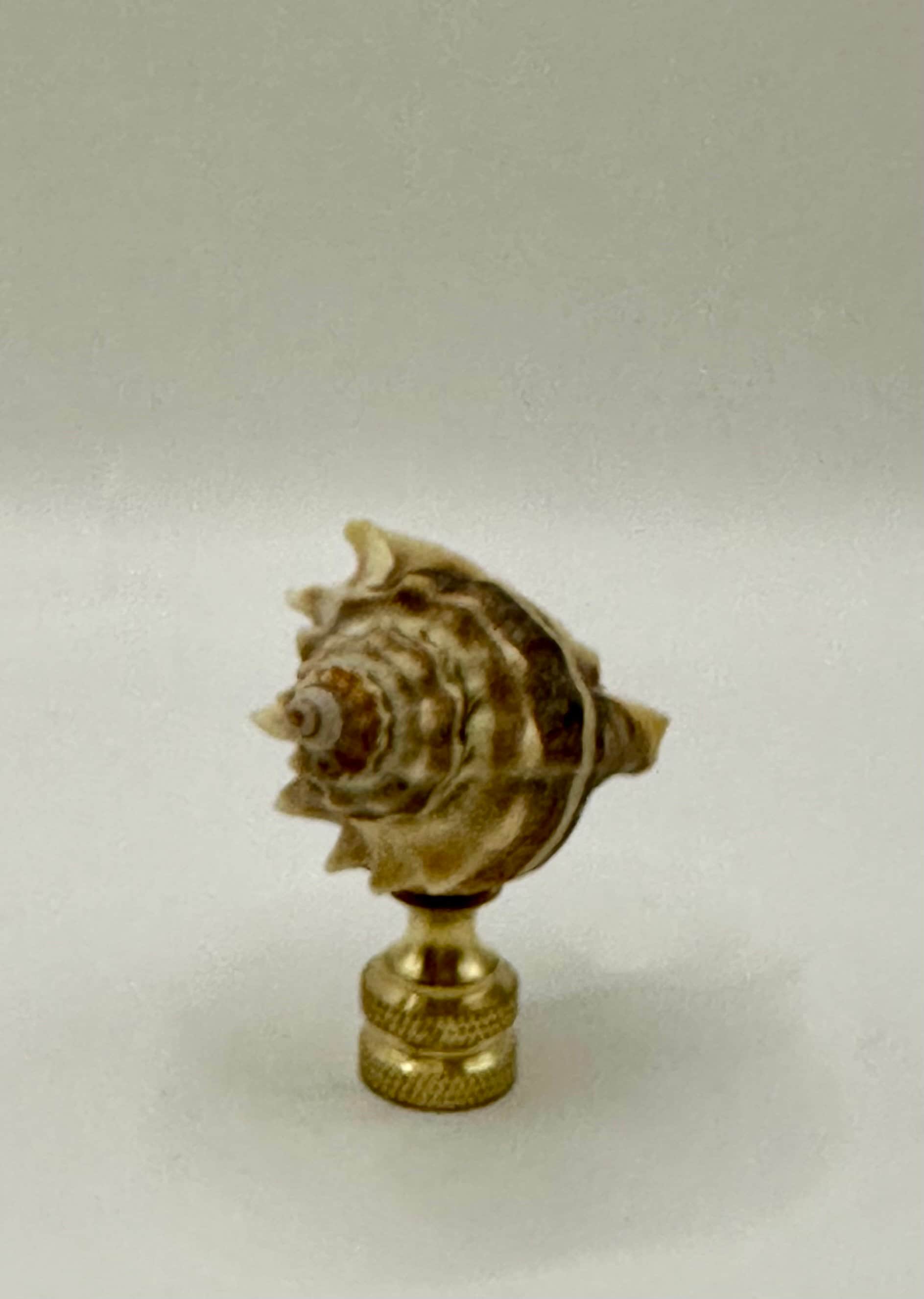 Shells Finials Sea Shell Finial - Etsy