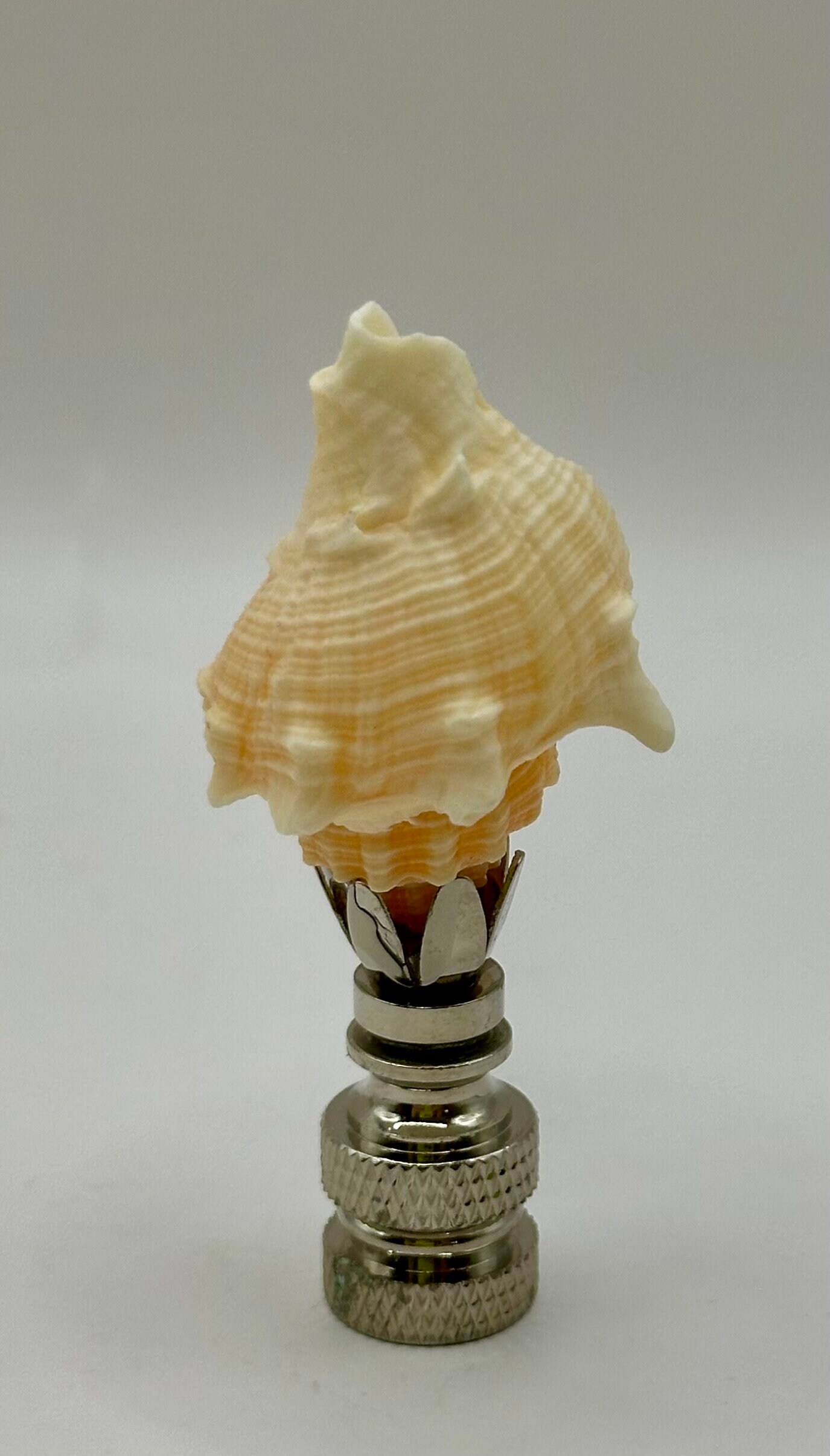 Shells Finials Sea Shell Finial - Etsy