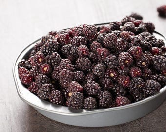 Berry Plant | Boysenberry, Thornless  | Blackberry / Raspberry | Rubus ursinus