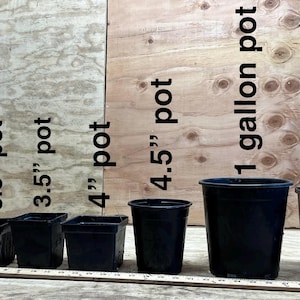 May include: An assortment of black plastic plant pots, including a plug liner, 3.5" pots, 4" pot, 4.5" pot, and 1-gallon pots. The pots are displayed against a wooden backdrop. Text labels the sizes in inches and gallons.