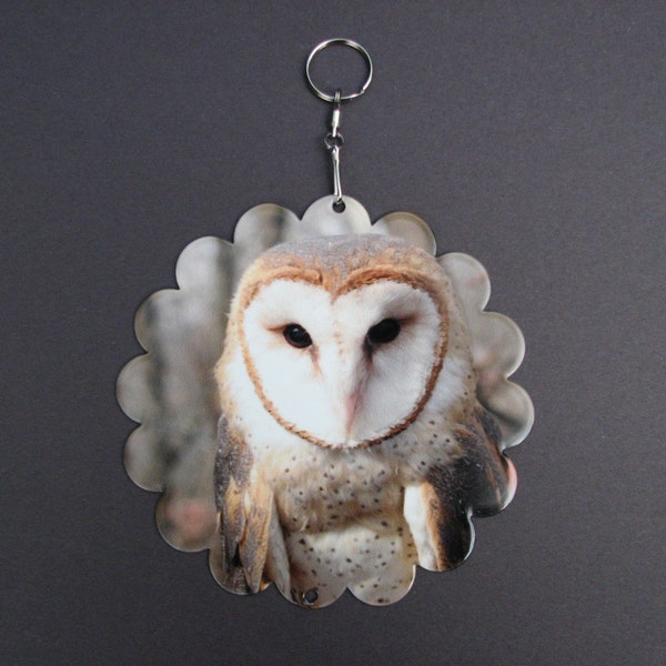 Barn Owl Wind Spinner