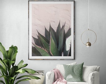 Succulents on Pink Wall, Plants on Pink, Original Photography Print, Succulent Art, unframed print