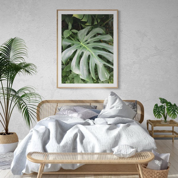 Monstera Photo Print, Tropical Plant Photography, Original Photograph, Botanical Art, unframed