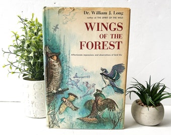 Wings of the Forest by Dr. William J. Long, 1957 First Edition Vintage Hardcover Book