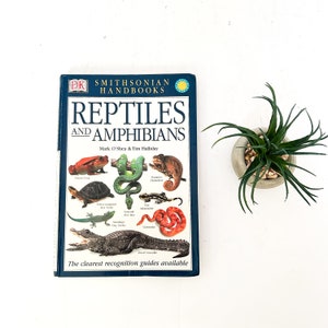 Vintage DK Smithsonian Handbooks Reptiles and Amphibians image 1