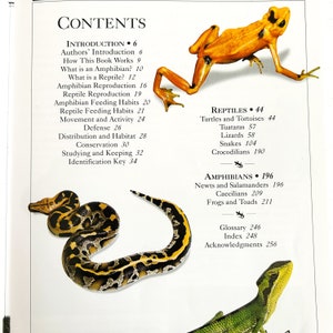 Vintage DK Smithsonian Handbooks Reptiles and Amphibians image 5