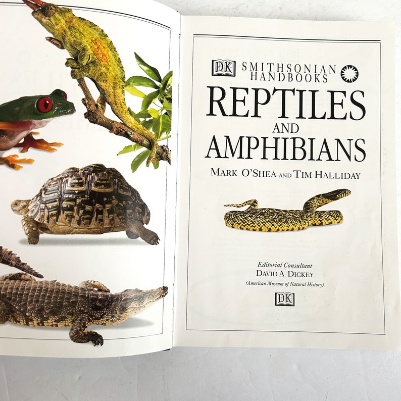 Vintage DK Smithsonian Handbooks Reptiles and Amphibians image 2