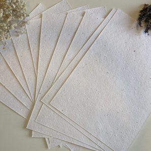 Pflanzbares Wildblumen-Samenpapier aus 100% recycelter gepresster Baumwolle mit wiederverwendbarem Ordner