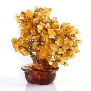 Baltic Amber Bonsai Tree: Feng Shui Money Tree Decor