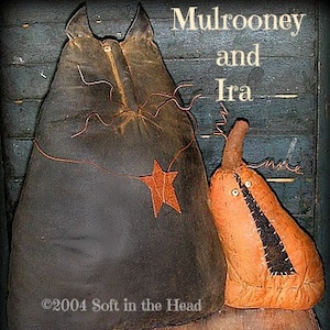 Mulrooney and Ira E-Pattern