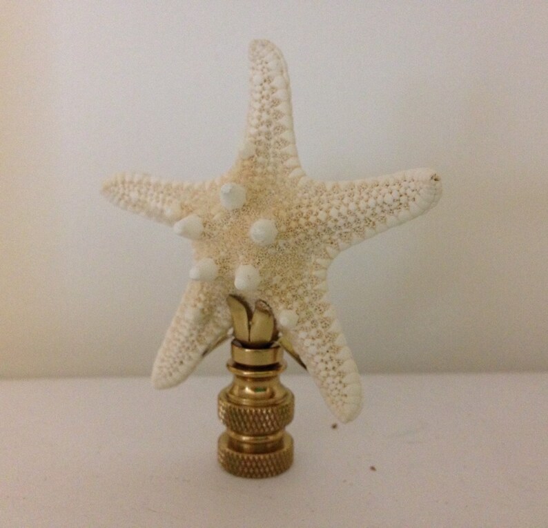 Knobby Starfish Lamp Finial Finial Lamp Topper Starfish Etsy