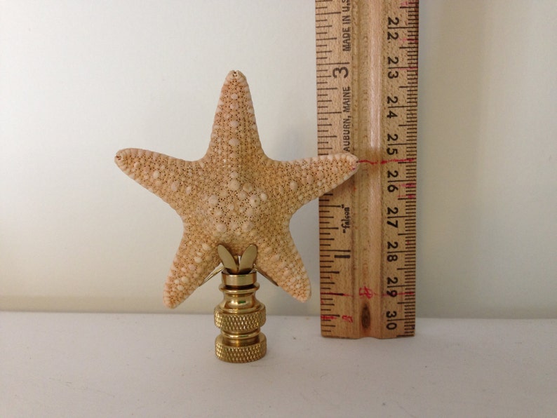 Starfish Lamp Finial Finials Lamps Lighting Shades Sea Beach Decor Accessory Home And Living Jungle