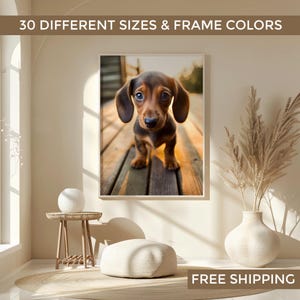 May include: A rectangular wall art print featuring a brown and black dachshund puppy standing on wooden planks. The image includes the text 30 DIFFERENT SIZES & FRAME COLORS at the top and FREE SHIPPING at the bottom of the visual composition.