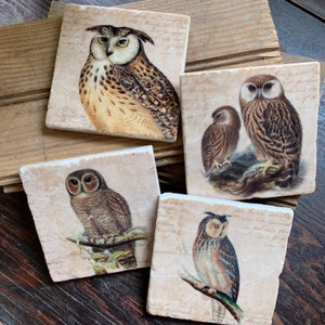 Keepers of the Forest coaster set - owls, stone coasters