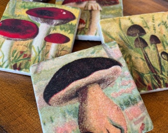 Mushrooms - stone coaster set, foodie gift, gift for her, gift for mom, teacher gift, housewarming gift, gift ideas, drink coasters