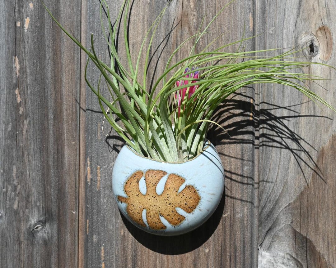 Handmade Light Blue Ceramic Wall Vase, Leaf Design, Air Plant Holder - Etsy