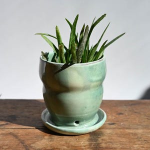 Op de afbeelding: Een handgemaakte, lichtgroene keramische plantenpot met bijpassende schotel, met een kleine aloë vera plant. De pot heeft een unieke, organische vorm en een glanzende afwerking. De groene bladeren van de plant contrasteren met de kleur van de pot.