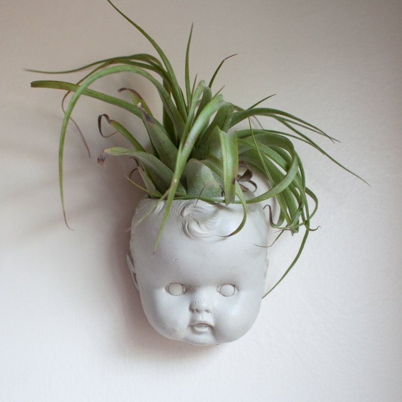 Small Doll Head Planter Baby Head Plant Pot Doll Head Air Etsy Canada