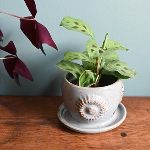 Light Blue Sunflower Planter with Attached Saucer, Handmade Ceramic Plant Pot, Drainage Holes, 3.5 inches tall, Potters Wheel Thrown image 1