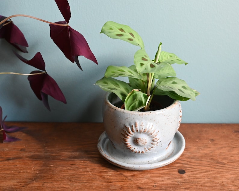 Light Blue Sunflower Planter with Attached Saucer, Handmade Ceramic Plant Pot, Drainage Holes, 3.5 inches tall, Potters Wheel Thrown image 1