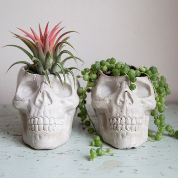 Skull Planter, cement plant pot, home decor, kitsch planter