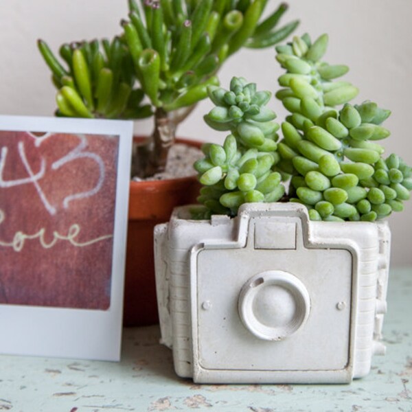 Camera Planter - cement retro home decor, hipster chic, garden succulents