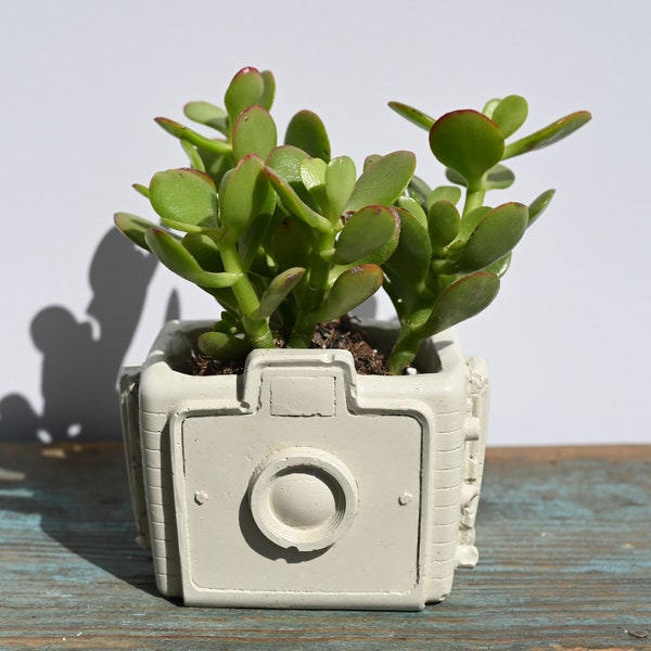 Kamera Übertopf, Beton Kamera Übertopf, Kamera Sukkulenten Übertopf, Zement Vintage Kamera Pflanzentopf, Kodak Brownie Übertopf, Fotograf Geschenk