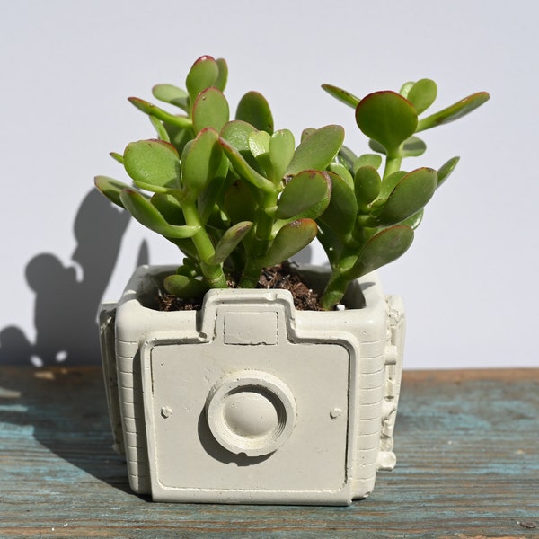 Camera Planter, Concrete Camera Planter, Camera Succulent Planter, Cement Vintage Camera Plant Pot, Kodak Brownie Planter, Photographer Gift