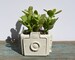 Camera Planter, Concrete Camera Planter, Camera Succulent Planter, Cement Vintage Camera Plant Pot, Kodak Brownie Planter, Photographer Gift 