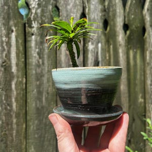 Mini Planter,  2.5 Inches Tall, Black / Aqua Blue Planter with Attached Saucer, Handmade Ceramic Plant Pot, Drainage Holes