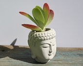 Maceta de cabeza de Buda, 3 pulgadas de alto, maceta pequeña de Buda, jardinera de cara de Buda, jardinera de cabeza de concreto, jardinera en forma de cabeza