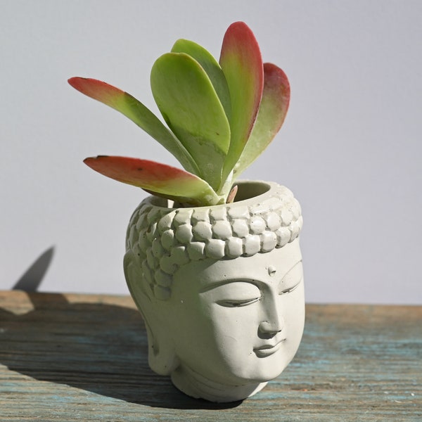 Buddha Head Planter, 3 inches high, Small Buddha Plant Pot, Buddha Face Planter, Concrete Head Planter, Head Shaped Planter