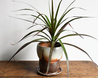 Handmade Ceramic Planter, Soda Fired, Shino, Neutral Decor, 4.75 inches high
