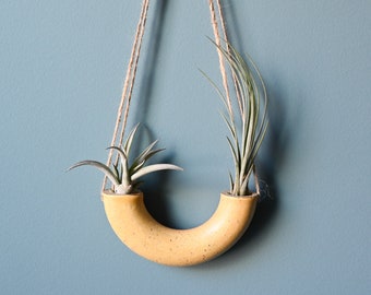 Small Handmade Ceramic Air Plant Holder, Hanging Planter, Wheel-Thrown Pottery, Yellow Hanging Pot, Half Donut Air Plant Vase