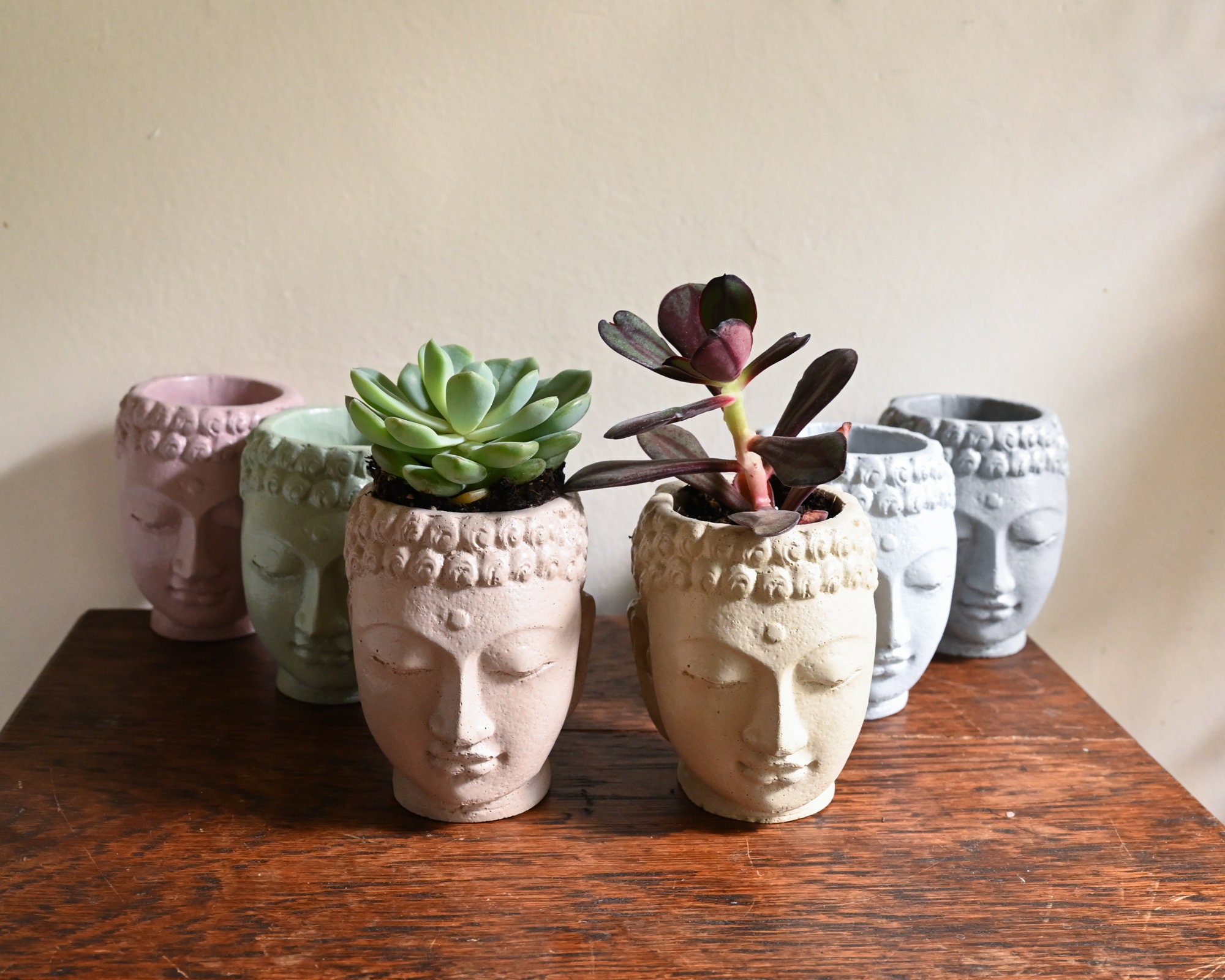 Buddha Head Planter Buddha Plant Pot Buddha Face Planter Etsy