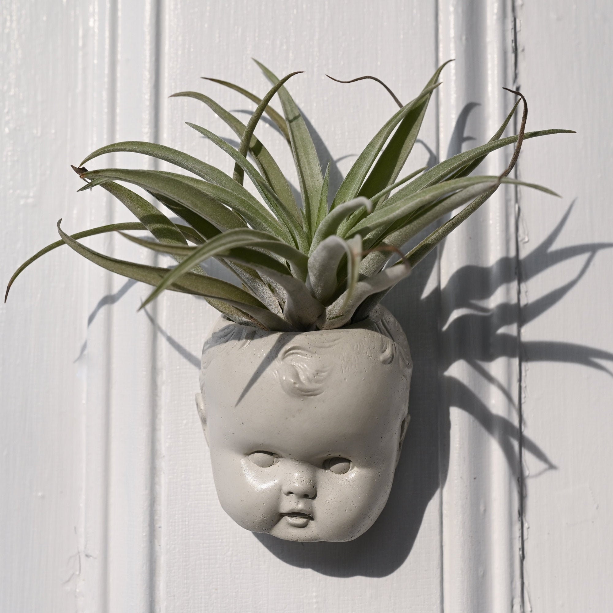 Small Doll Head Planter Baby Head Plant Pot Doll Head Air - Etsy Israel