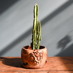 Brown Shino Face Leaves and Flowers Planter and Saucer, Handmade, Neutral Decor, 3 inches tall, Potters Wheel Thrown Plant Pot