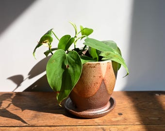 Handmade Ceramic Planter, Wood Fired, Shino, Neutral Decor, 4.75 inches high