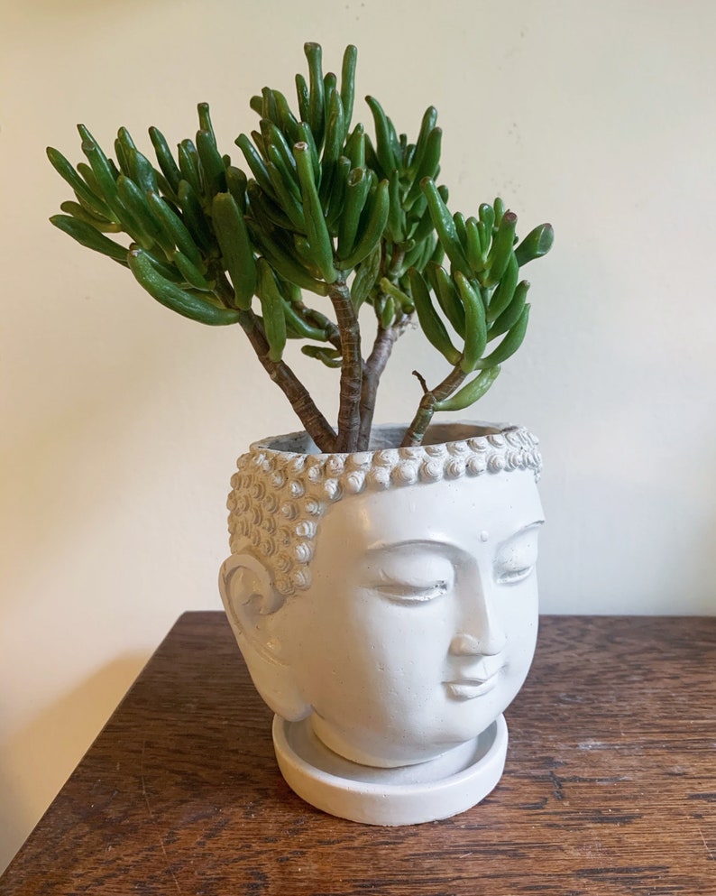 Cement Saucer for Planters Smooth Concrete Planter Saucer Etsy