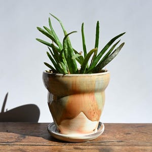 May include: A ceramic pot with a plant, featuring green leaves. The pot has a beige, orange, and green glaze, sitting on a matching saucer. The pot is on a wooden surface, with a shadow of the plant visible on the wall.