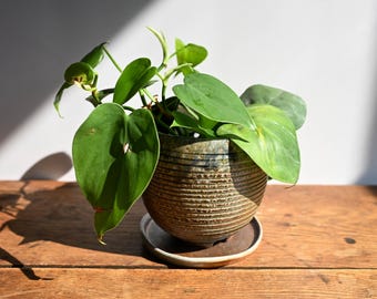 Handmade Carved Ceramic Planter, Wood Fired, 4.5 inches high