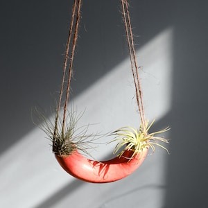 May include: A hanging planter made of red ceramic in the shape of a banana with two air plants inside.