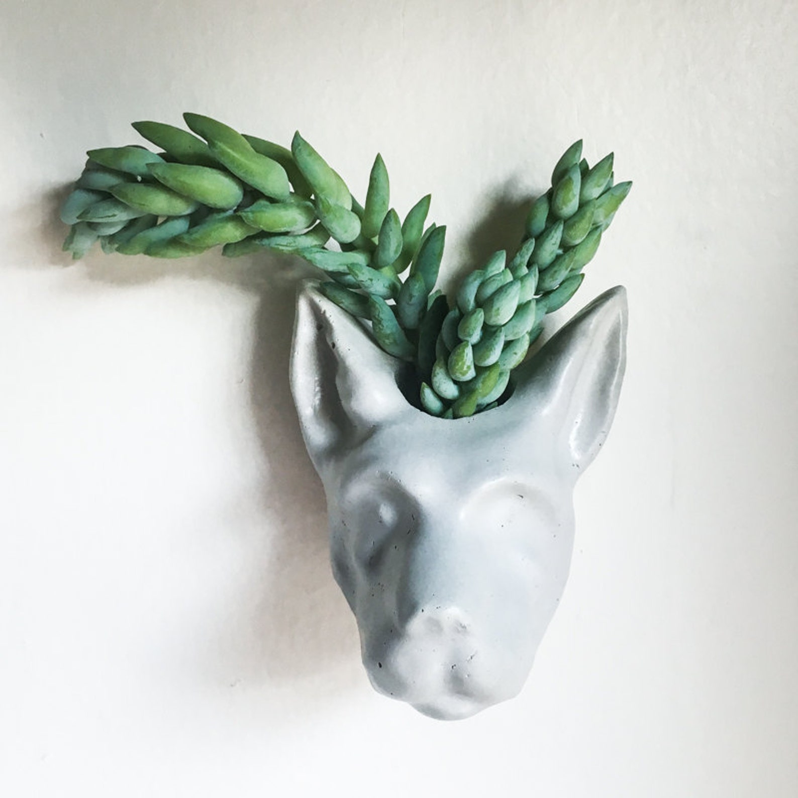 Dog Head Wall Planter Animal Head Wall Planter Concrete Etsy