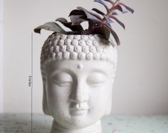 Buddha Head Planter Cement Plant Pot Buddha Head Planter Etsy