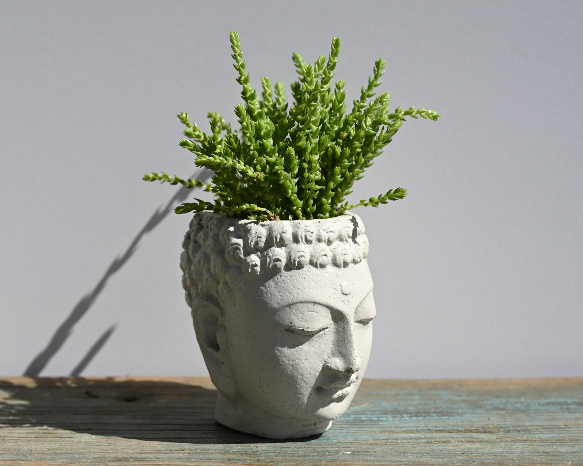 Vaso Testa Uomo Cemento Bianco Piccola