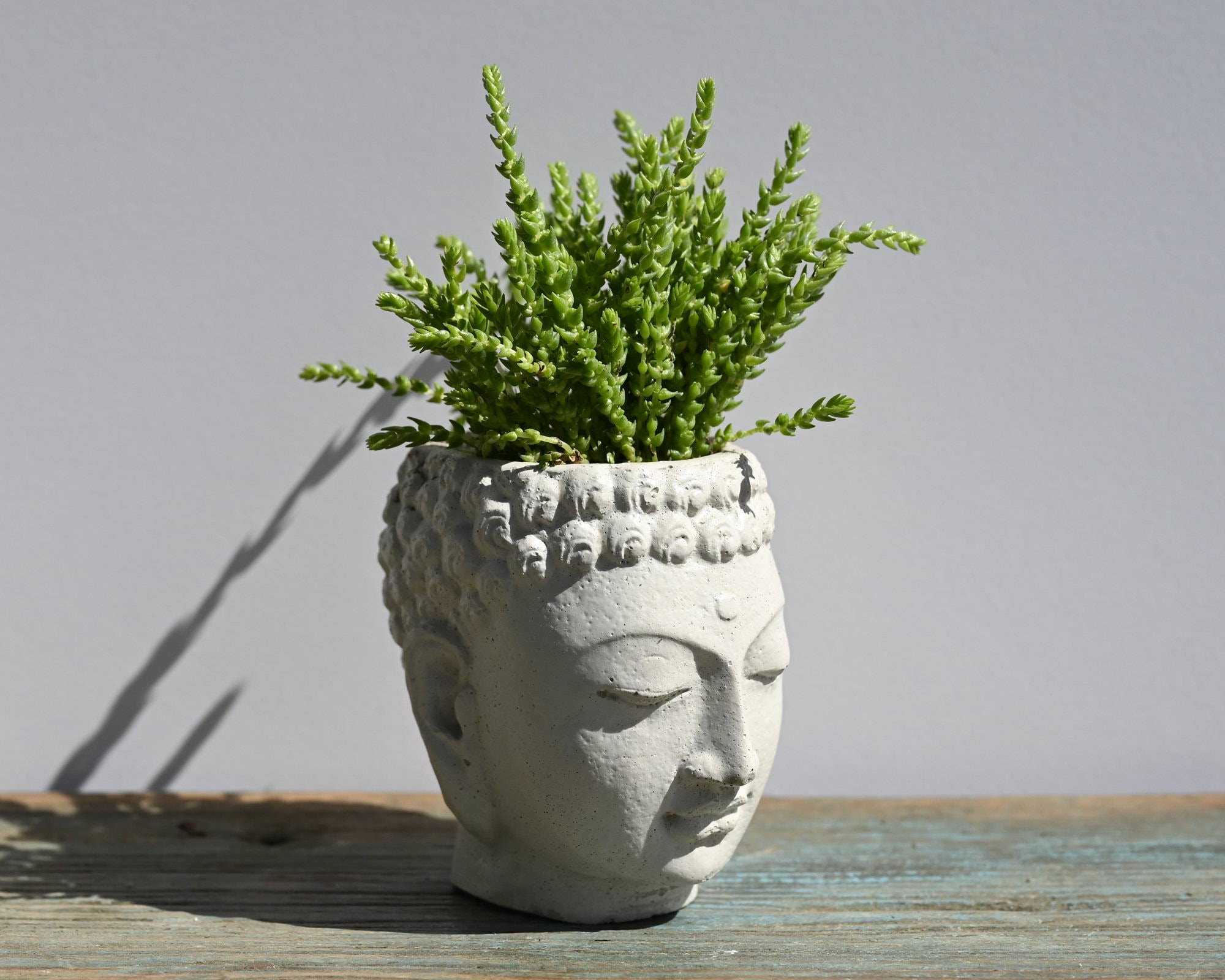 Planteur à Tête de Bouddha, Pot Plante Petit Planteur Succulent, Visage Béton, Jardinière Tête, Tête