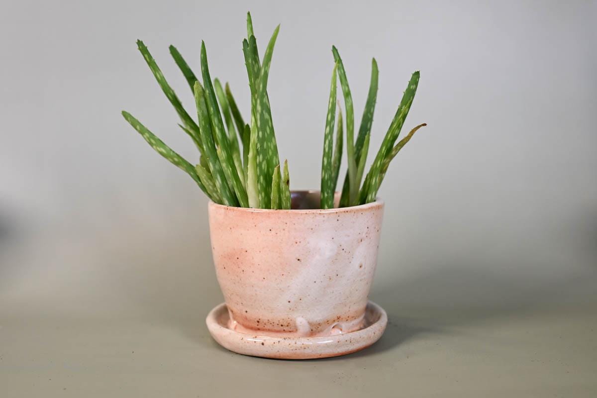 Mini Planter, 3.25 Inches Tall, Neutral Decor, Shino Glaze, Soda