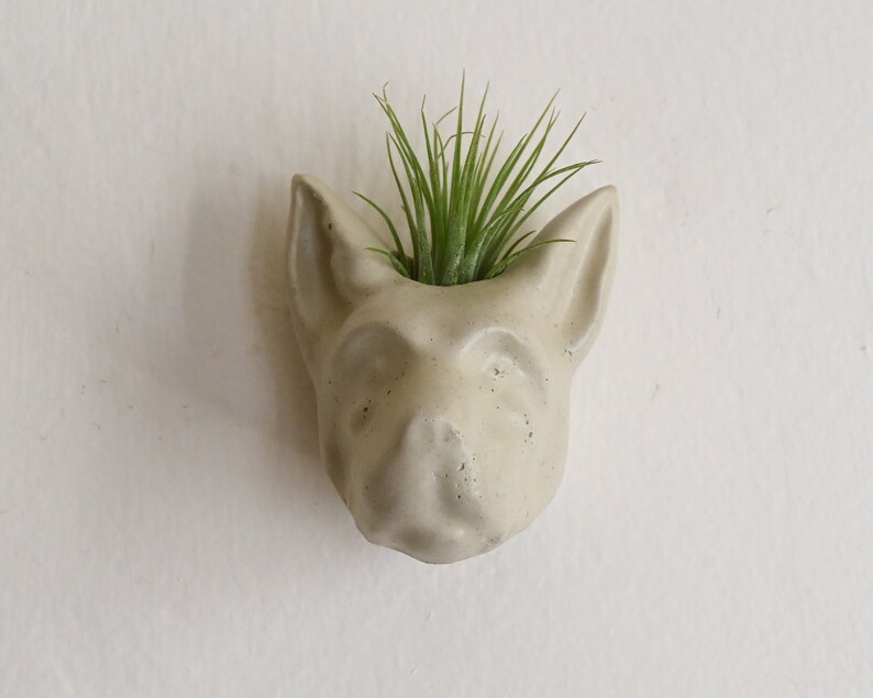 Dog Head Planter Dog Cement Planter Dog Air Plant Animal Head Plant Pot Dog Concrete Planter Dog Succulent Planter Hanging Planter Home Hobby Gardening Plants Efp Osteology Org
