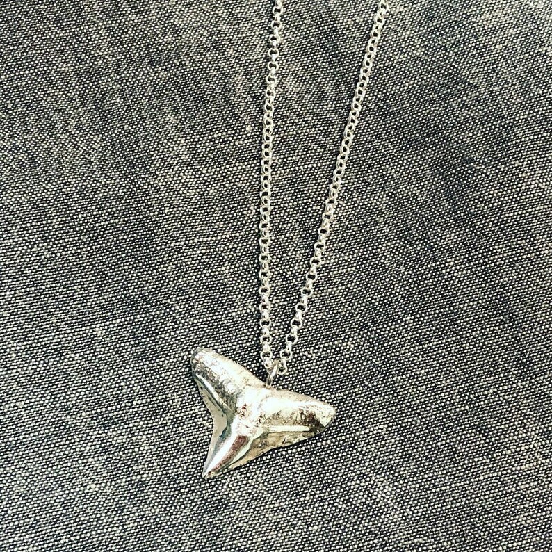 Silver Fossil Sharks Tooth Necklace 30 Rolo Chain Etsy